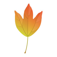 Wall Mural - Vector illustration of an autumn trident maple leaf isolated on background.