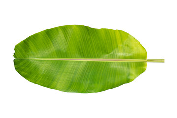 Wall Mural - Green banana leaf isolated on transparent background - PNG format.