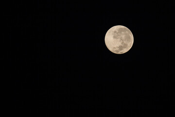 vollmond / full moon.
