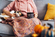 © okrasiuk - Woman in plaid drinking hot tea from Halloween theme mug, stroking relaxed multicolored cat pet on the sofa at decorated for fall holidays home. Cozy and comfortable autumn holidays. Selective focus.