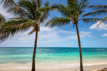 Canvas Print - Tropical paradise: caribbean beach with palm trees, Montego Bay, Jamaica