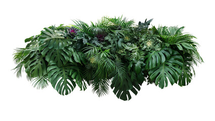 Poster - Tropical leaves foliage plants bush floral arrangement nature backdrop on transparent background