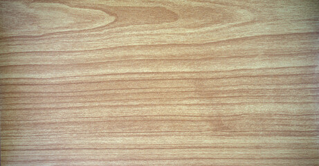 Wall Mural - Photo of the texture of light wood flooring.Wooden background made of light wood. White wooden covering.