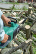 © Smole - A male uses a chainsaw to cut up a log into firewood.