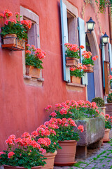 Wall Mural - Riquewihr alsatian architecture at springtime with flowers, Eastern France