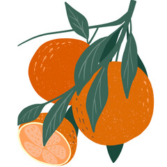 Orange fruit PNG