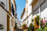 Fototapeta Uliczki - Scenic view of the old town of Elvas in Alentejo, Portugal. Narrow streets of whitewashed white houses