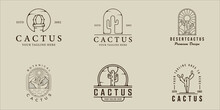 Set Of Cactus Line Art Logo Vector Simple Minimalist Illustration Template Icon Graphic Design. Bundle Collection Of Various Botanical At Desert Sign Or Symbol Environment With Badge Typography