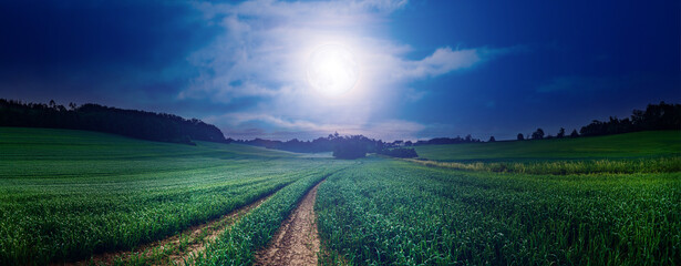 Poster - green field and night sky with bright full moon