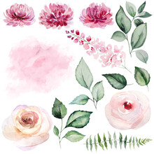 Watercolor Pink Roses Flowers And Green Garden Leaves Illustration, Wedding Stationery Elements
