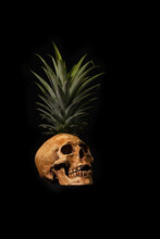 Still Life With Skull And Pineapple