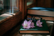 cute cozy books with flowers on an old wooden windowsill