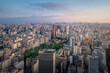 Aerial view of Sao Paulo Skyline with Italia and Copan Buildings - Sao Paulo, Brazil