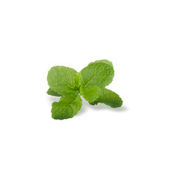 Sticker - Green Mint leaves isolated on a white background