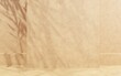 © ARThitecture - mnimalistic sandstone wall for product display, leaf shadows on the wall, 3d render, 3d illustration