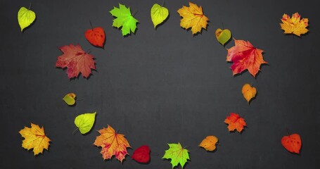 Wall Mural - Animated frame made of rotating dry autumn leaves, copy space, happy thanksgiving day background concept, discount and sale for this holiday