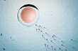 © Thannaree - Many sperm swimming towards the egg in a blue background. 3D Illustration Rendering.