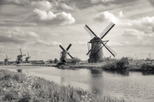 Black And White Windmills Holland