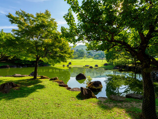 Canvas Print - 青空が広がる春日野園地の三社託宣池