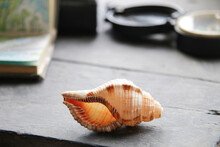 Seashell, Map And Compass Lies On A Vintage Table