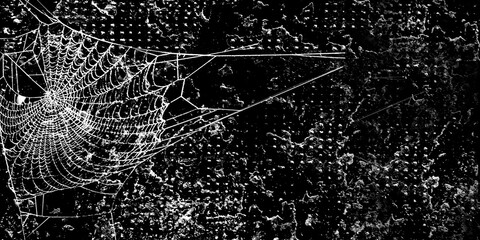 Wall Mural - Spiderwebs isolated on black grunge background. Halloween party design. Gothic style	