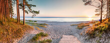 Panoramic View. Sandy Beach And Forest Dune Area Of The Baltic Sea. Concept Of Happy, Bliss And Healthy Summer Vacation In Ecologically Clean Baltic Region Of Eastern Europe