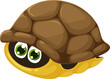 Cartoon turtle tortoise afraid come out of shell