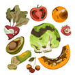 Cartoon isolated spoiled and damaged fruit and vegetables with rot, danger mold and poisons, moldy expired pieces, slices and whole fruit collection. Rotten food product set vector illustration
