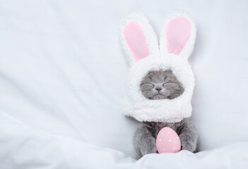 Aufkleber - Happy kitten wearing easter rabbits ears sleeps with painted egg on a bed under warm white blanket at home. Top down view. Empty space for text