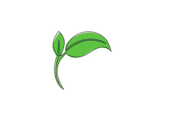 Wall Mural - Green leaf. Continuous one line drawing of leaf tree minimalist vector illustration design on white background. Isolated simple line modern graphic style. Hand drawn graphic concept for spa logo