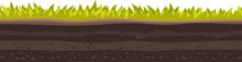 Soil Ground And Underground Layers Of Green Grass