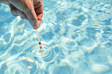 Checking the water quality of a pool with the help of a test strip with PH value, chlorine and algaecide