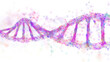 DNA helix, Biotechnology and molecular engineering,  science medicine and innovation concept.  PNG Isolated transparent background.