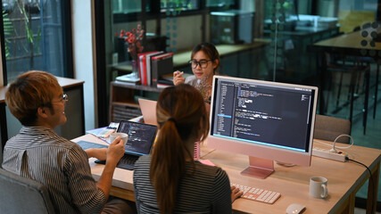 Programer team working and meeting in modern office