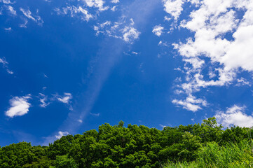 Poster - 流れる雲と青空