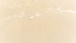 © Victoria - White shell on the sand near the sea, the wave is blurred, travel concept