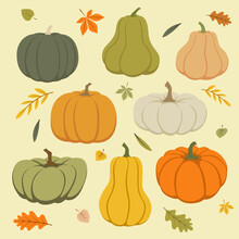 Vector Set Of Colorful Pumpkins And Autumn Leaves. Vector Illustration On A Light Background In Flat Style.