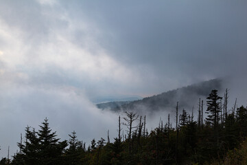 Wall Mural - Clingmans Done