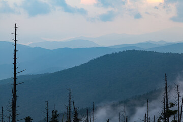 Wall Mural - Clingmans Done