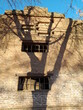 © CarlosJose - Edificio antiguo històrico envejecido por los años en la ciudad, con sombra del àrbol en su pared de ladrillos con ventanas oxidadas, forma un diseño muy original arquitectònico fondo del cielo azul