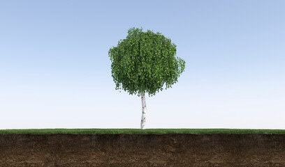 Wall Mural - Deciduous tree and soil cut under it, 3d render