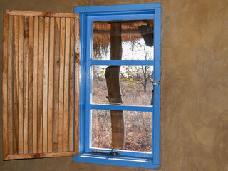 African bush landscape view through window with blue wooden frame