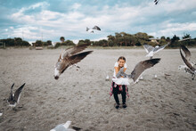 Little Girl Feeding Seagulls On The Beach 
