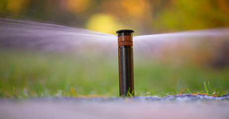 Wall Mural - automatic sprinkler system watering the lawn close up