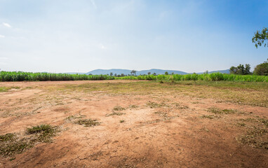 empty dry cracked swamp reclamation soil, land plot for housing construction project with car tire p
