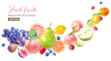 色々なフレッシュフルーツの水彩イラスト。流れるようなフルーツの集合。バナー装飾。（ベクター。レイアウト変更可能）