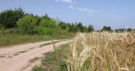 Wall Mural - Gravel highway in rural areas , a simple primitive road for the movement of cars