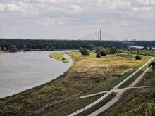  Rzeka ODRA Płynie Przez Dolnyśląsk.  Uwaga Na Zanieczyszczenie.  Śmierć Ryby.