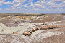 Scenic View Of Petrified Forest National Park In Arizona, EEUU.