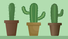 Set Of Domestic Cacti. Green Cactus In A Pot. Vector